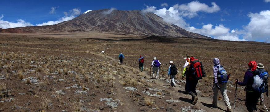 7 Days Machame + 4 Days Safari Combo